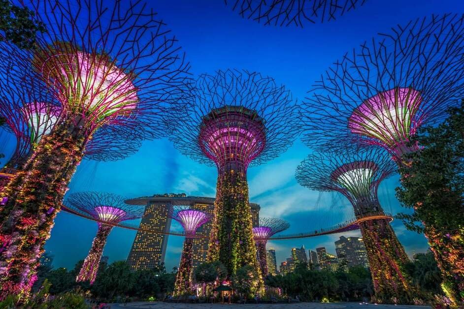 Gardens by the Bay in Singapore featuring the iconic Supertree Grove