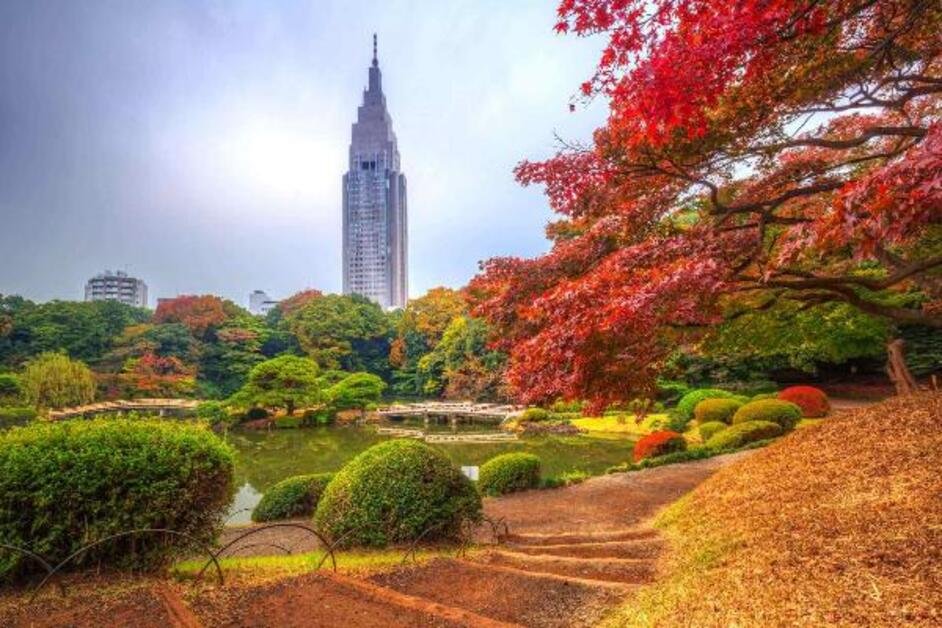 Things to do in Tokyo – Shinjuku Gyoen National Garden with traditional Japanese landscape and city skyline
