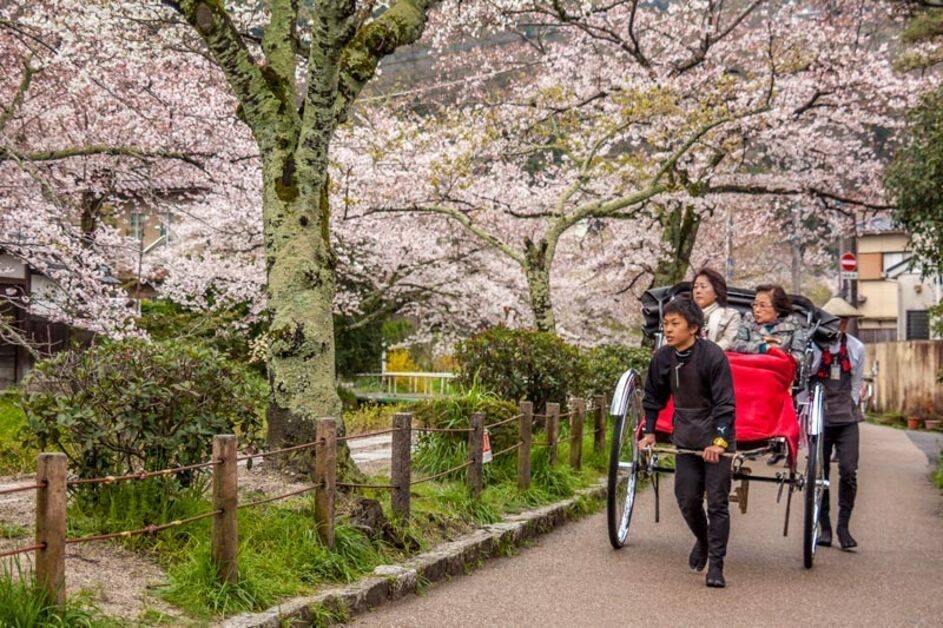 Things to do in Kyoto – The Philosopher’s Path with cherry blossoms and scenic canal views