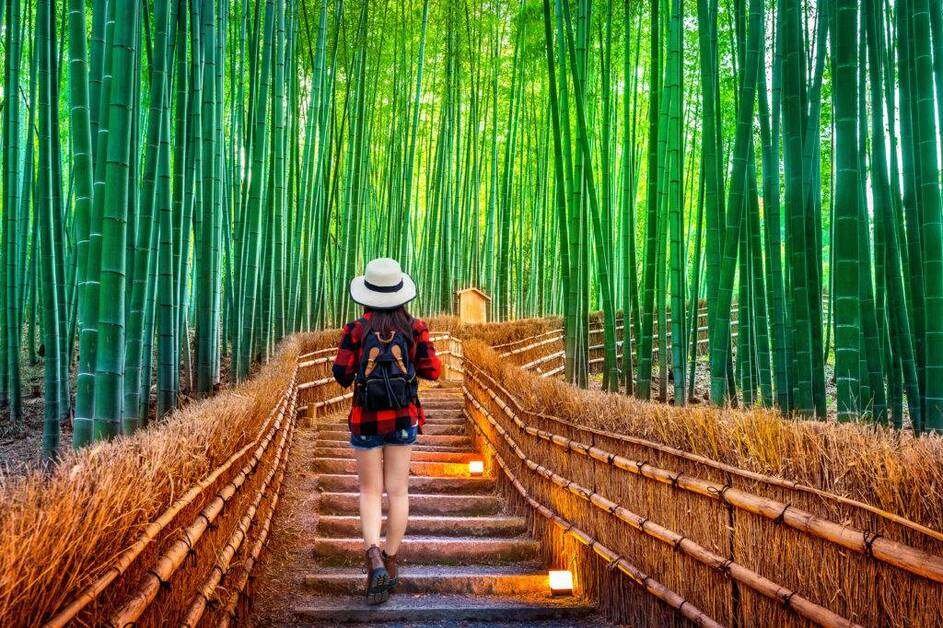 Things to do in Kyoto featuring Arashiyama Bamboo Grove, a famous bamboo forest in Japan