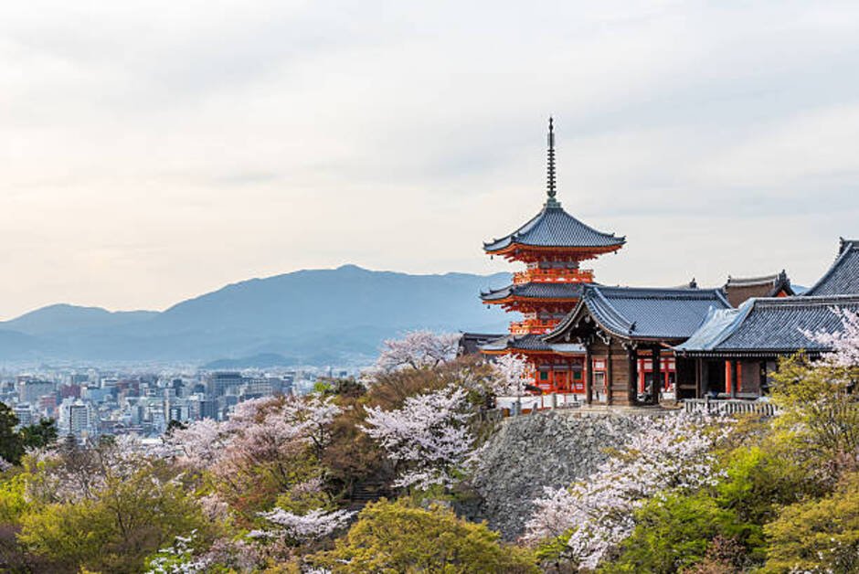 Things to do in Kyoto featuring traditional temples, cherry blossoms, and historic streets of Japan